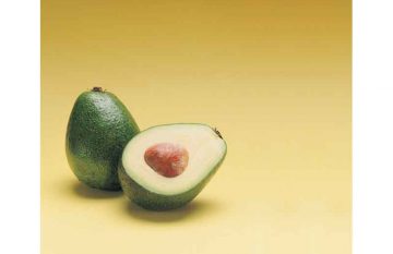 aguacate
