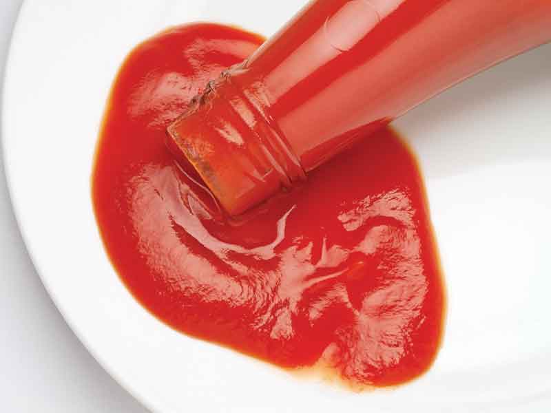 Catsup, el aderezo perfecto Nortedigital