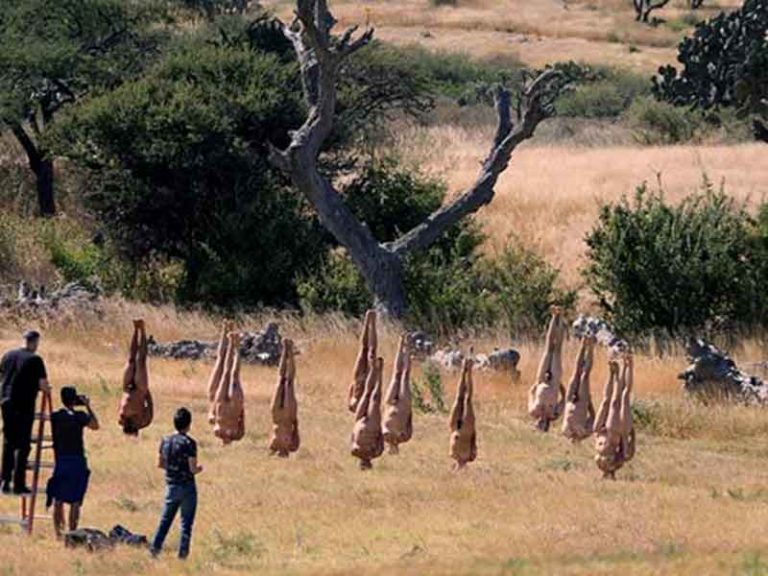 Spencer Tunick pone de cabeza a San Miguel de Allende