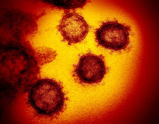 coronavirus; variante delta