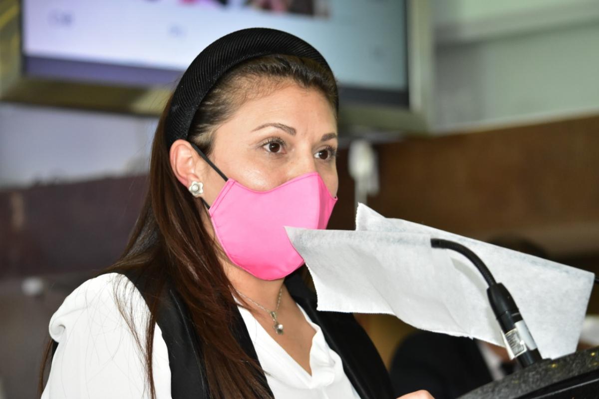 Rocío González, del PAN, habló de que el plan emergente de Gobierno del Estado por la pandemia no incluyó a madres de familia