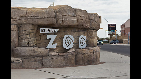 El zoológico de El Paso reabrirá sus puertas, tras casi un año de estar cerrado por la pandemia de Covid-19