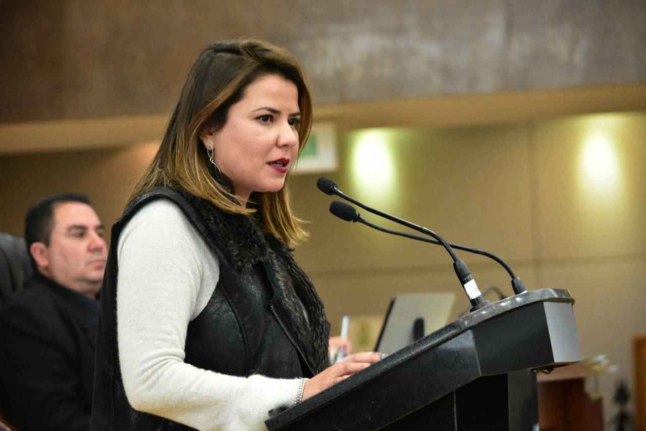 La dipitada Georgina Bujanda propuso una adición para evitar que se aprovechen programas de salud para beneficio electoral