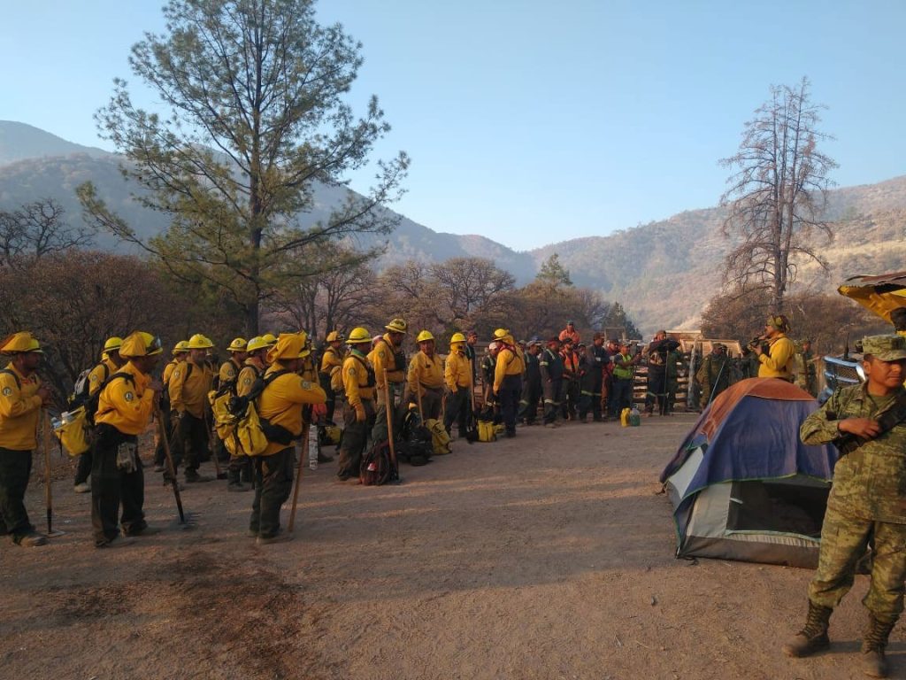 Chihuahua, Con 12 Incendios Activos Y Sin Fondos Federales Para ...