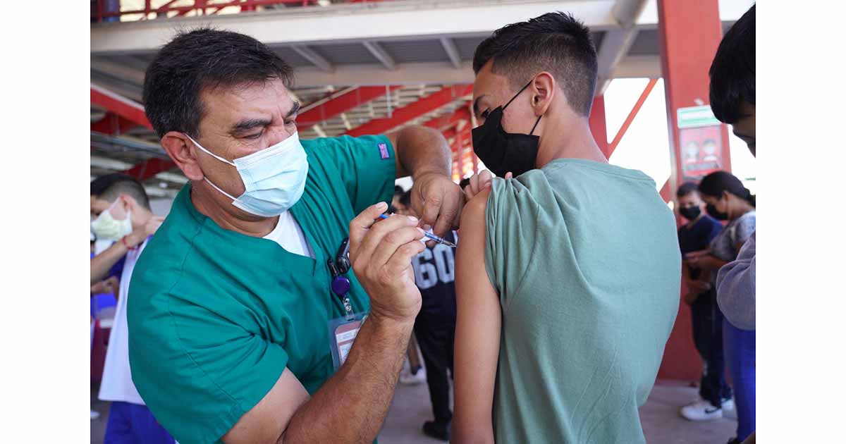 They prepare vaccination campaigns for Covid, influenza and flu