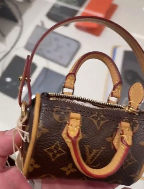 Joven viraliza bolso de Louis Vuitton para guardar heces de perro