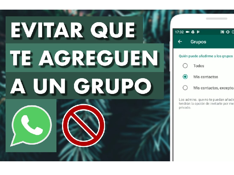 Cómo Evitar Que Te Agreguen A Un Grupo De Whatsapp Norte De Ciudad Juárez 4088