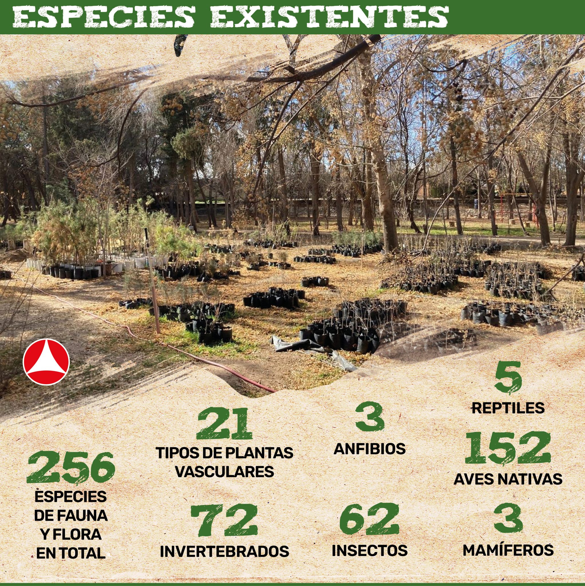 El Chamizal: historia de su fauna y flora perdida - Norte de Ciudad Juárez