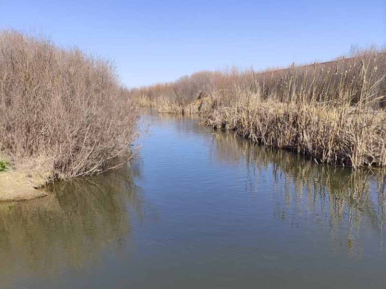 Ofrecen curso gratuito sobre calidad de agua en el Río Bravo - Norte de ...