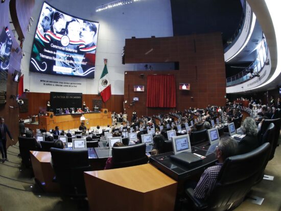 Senado de México, Morena, Reforma electoral