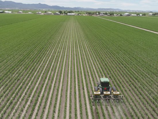 programa, campo, agricultores