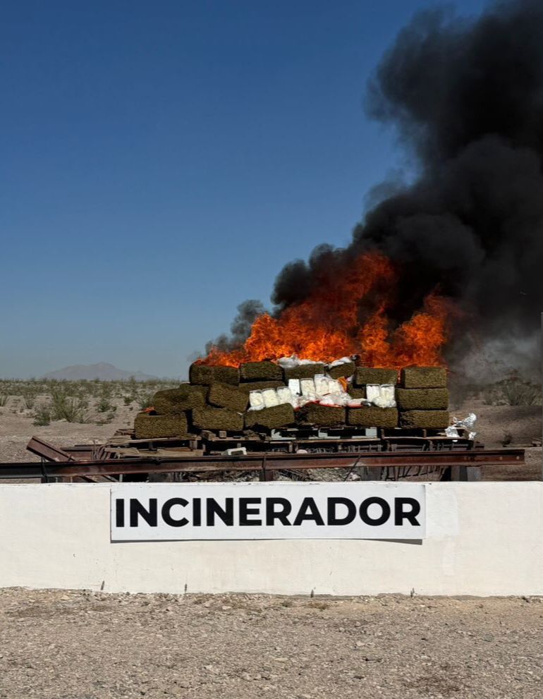 Incineran casi una tonelada de drogas: destaca la presencia de ...