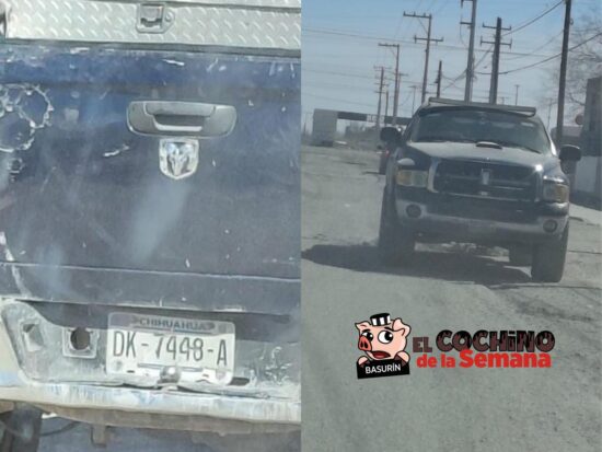 Cochino de la semana, multas