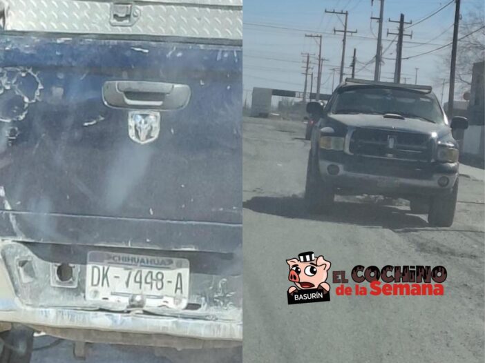 Cochino de la semana, multas