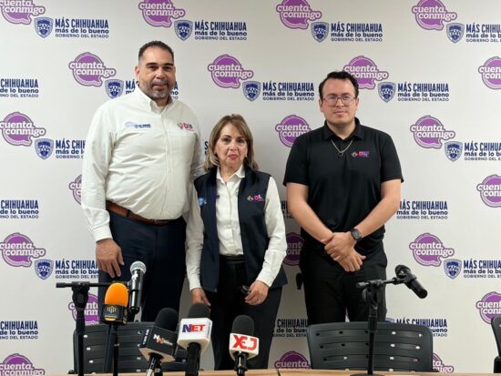 Personas con discapacidad, DIF estatal