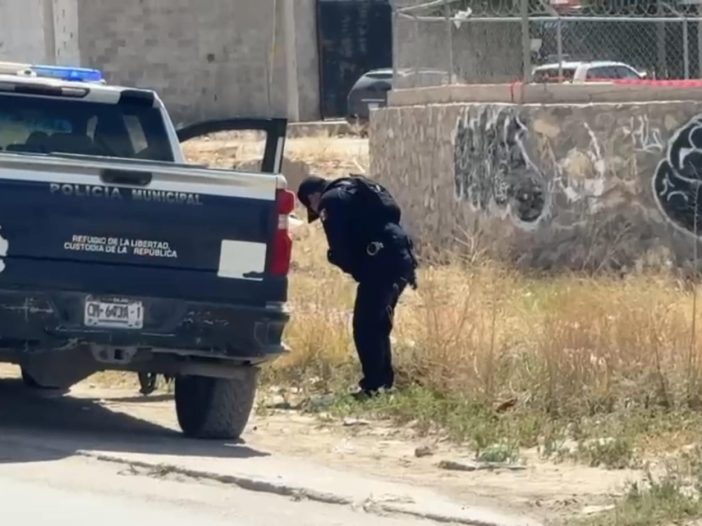 Águilas de Zaragoza