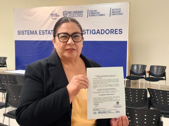 Sistema Estatal de Investigadores