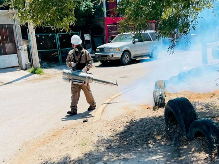 fumigación contra la garrapata