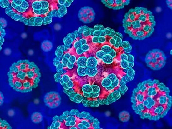 hantavirus