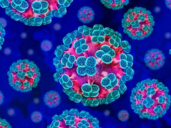 hantavirus