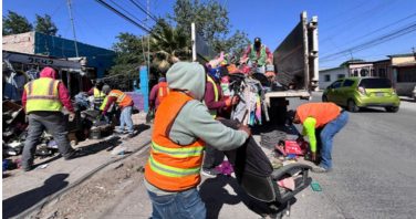 Puntos limpios pueden servir para contener la proliferación de garrapatas