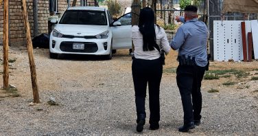 vigilancia a casos de maltrato animal