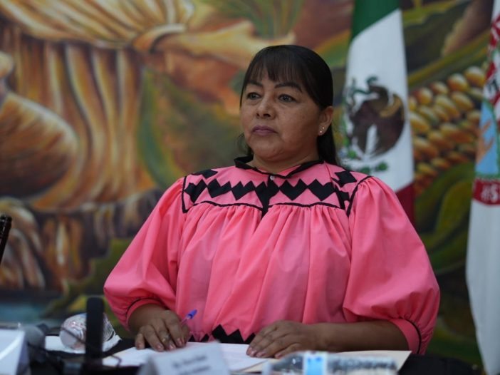 Ley indígena