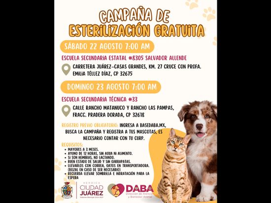 Esterilizaciones de perros y gatos