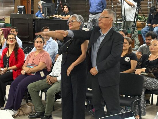 Consejo Consultivo de Participación Ciudadana