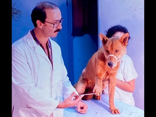 Hospital Veterinario UACJ