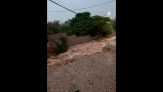 Calle Alfredo Orta