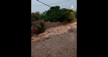 Calle Alfredo Orta