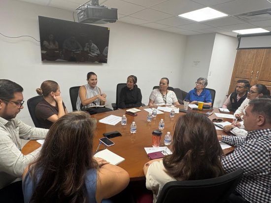 Consejo Consultivo de Movilidad y Seguridad Vial
