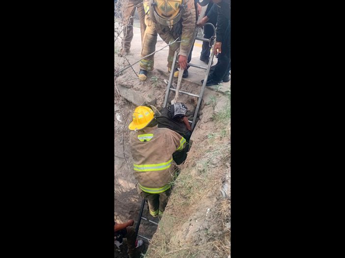 Rescate en la Acequia Madre