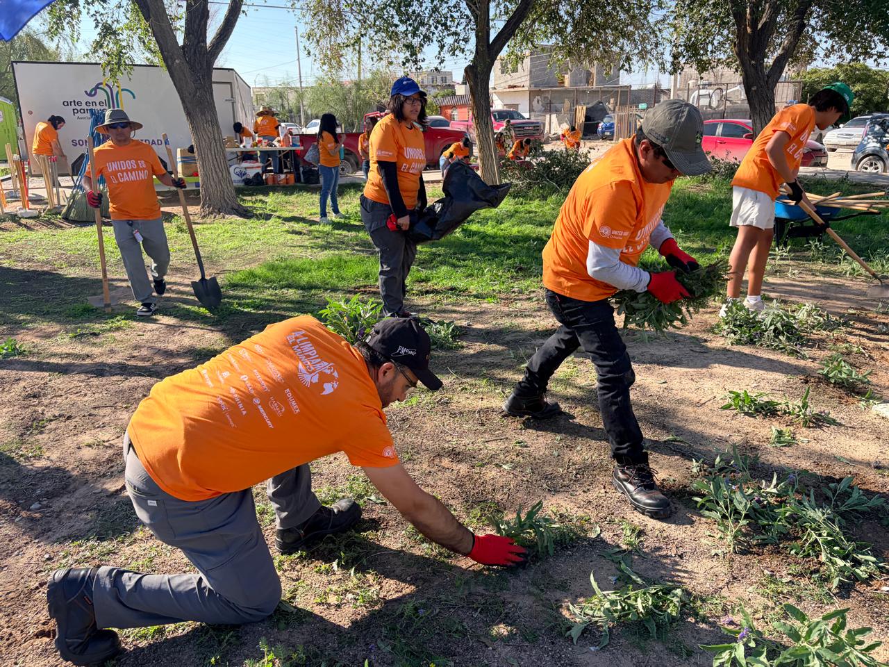 Comunidad en acción: vecinos y voluntarios se unen para limpiar parque Palmillo